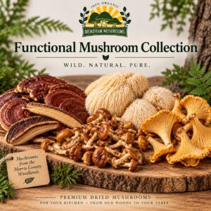 Functional Mushroom Collection featuring dried specialty mushrooms