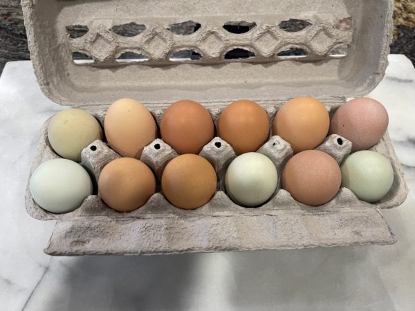 Farm Fresh Eggs